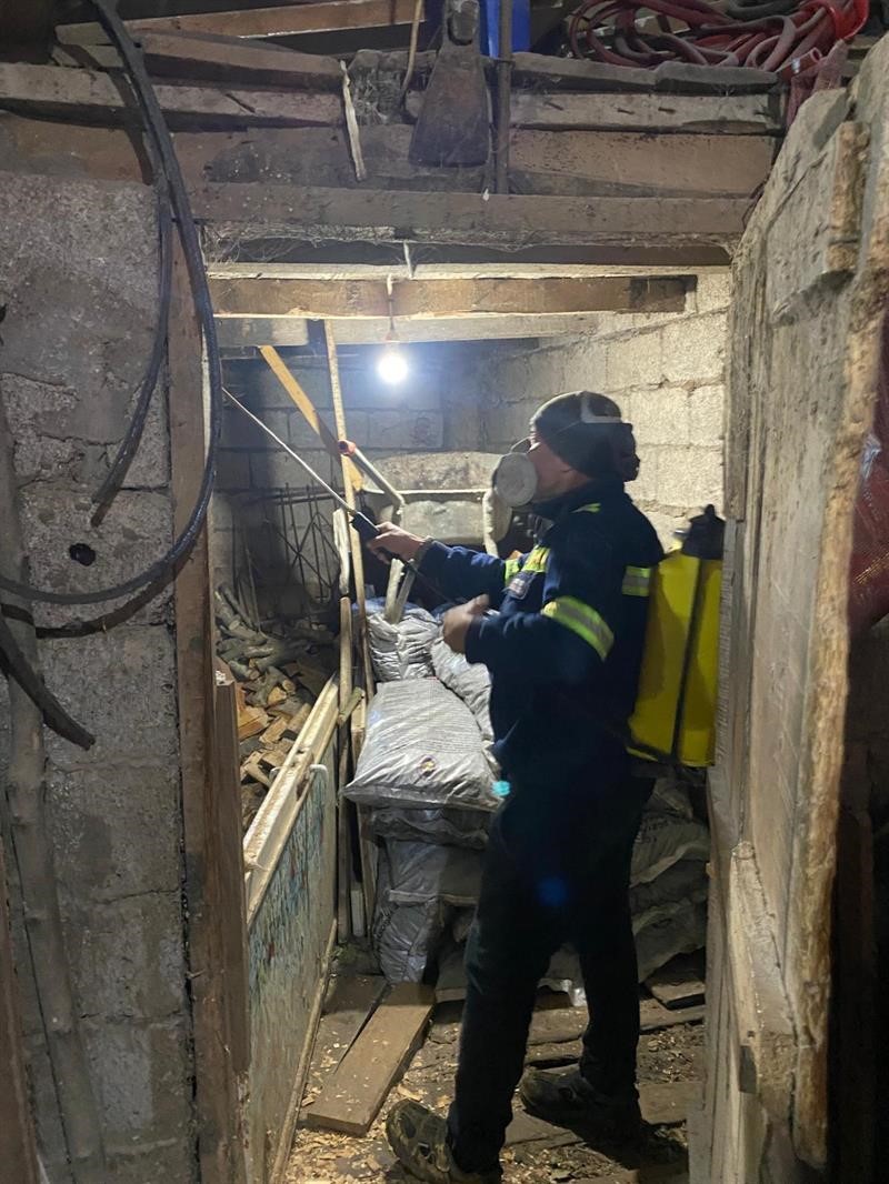 Zonguldak&rsquo;ta kahverengi kokarcaya karşı m&uuml;cadele s&uuml;r&uuml;yor
