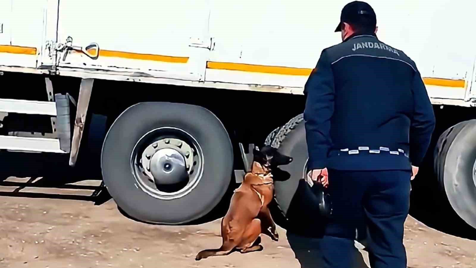 Kargo aracında 1 tonun üzerinde kaçak tütün ve yüzlerce paket sigara ele geçirildi
