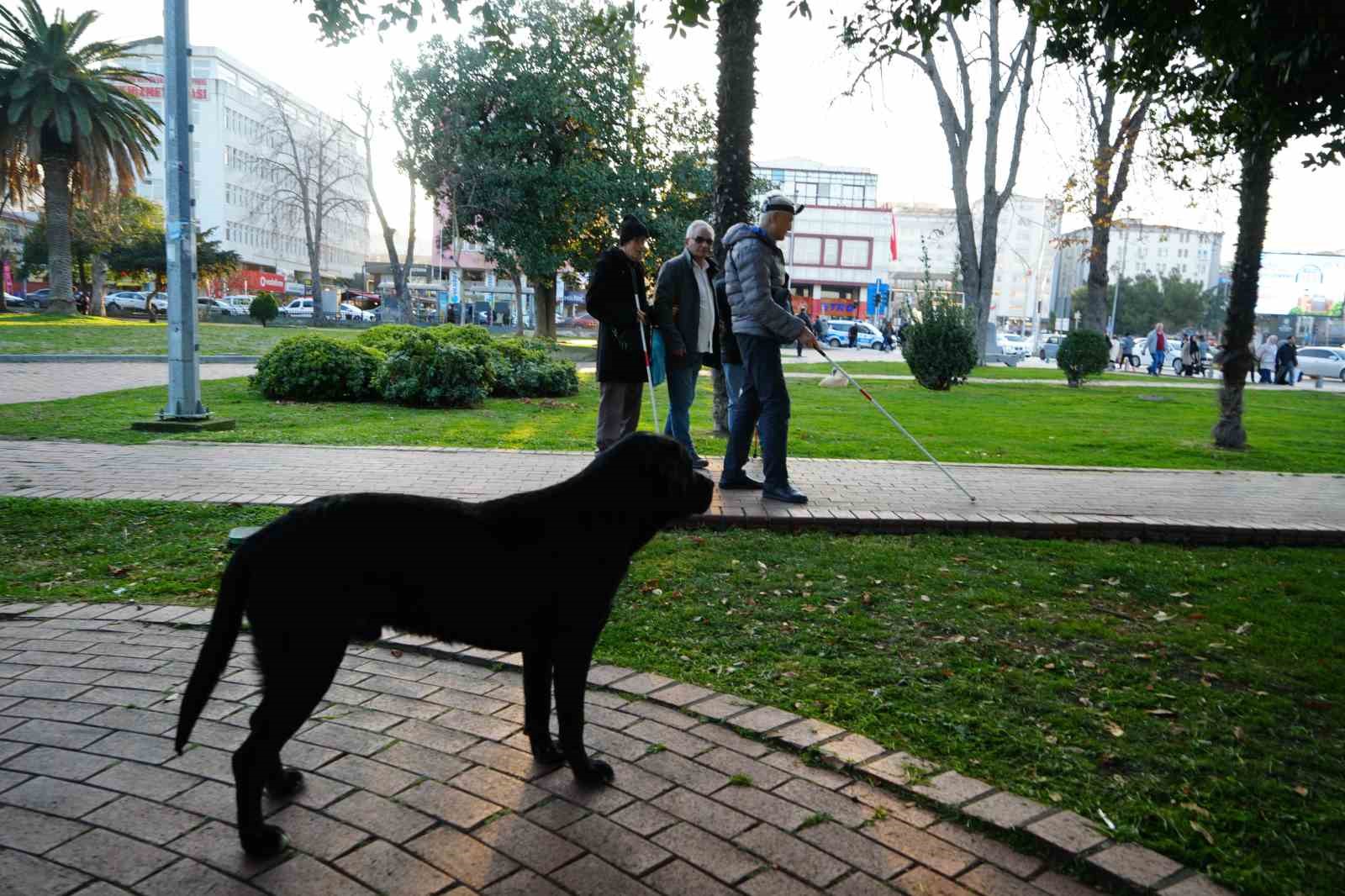 Görme engellilerin kabusu: Scooterlar, sokak köpekleri, kaldırım işgalleri
