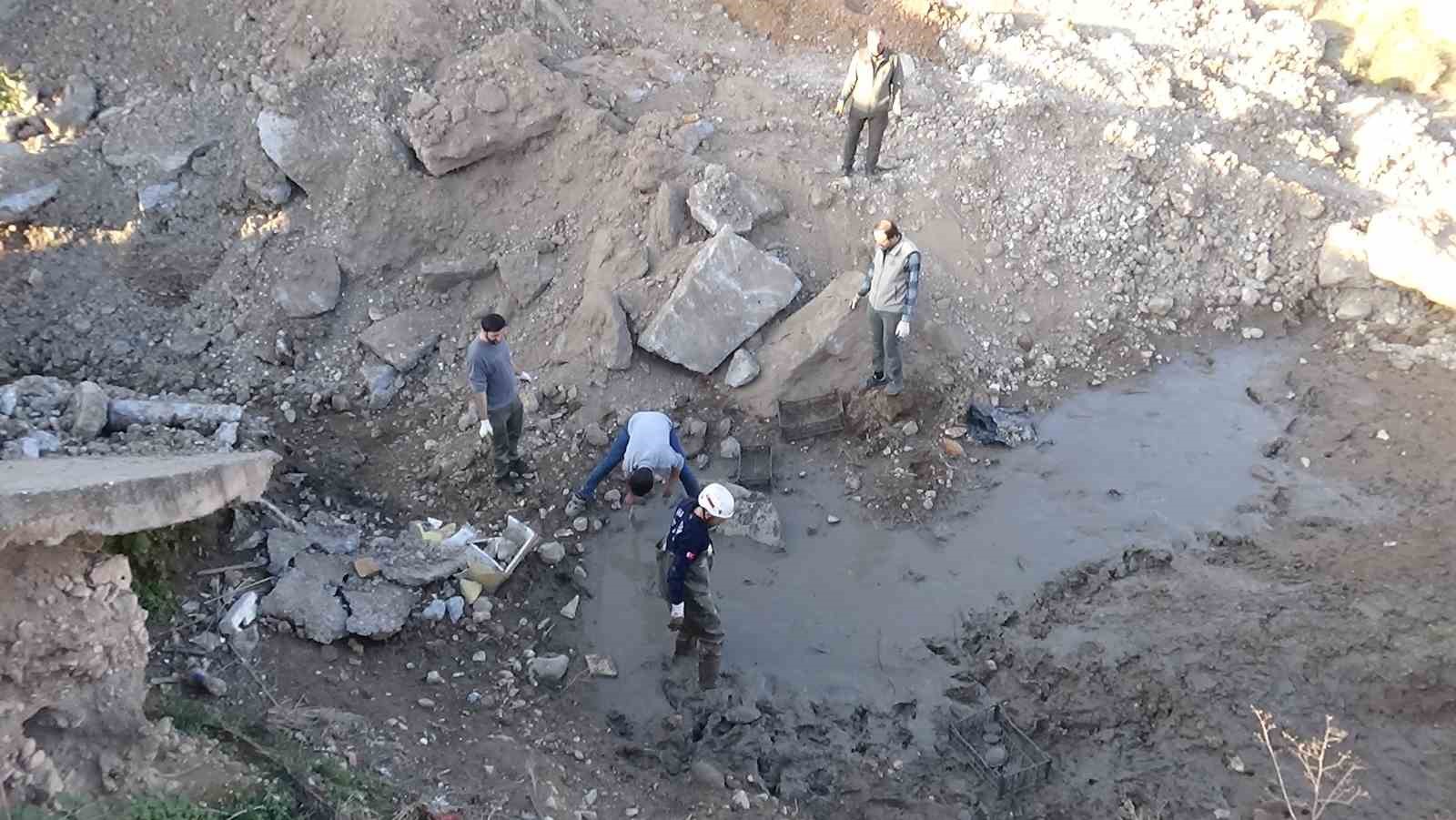 Şanlıurfa’da çamur bataklığında mahsur kalan 240 kaplumbağa kurtarıldı