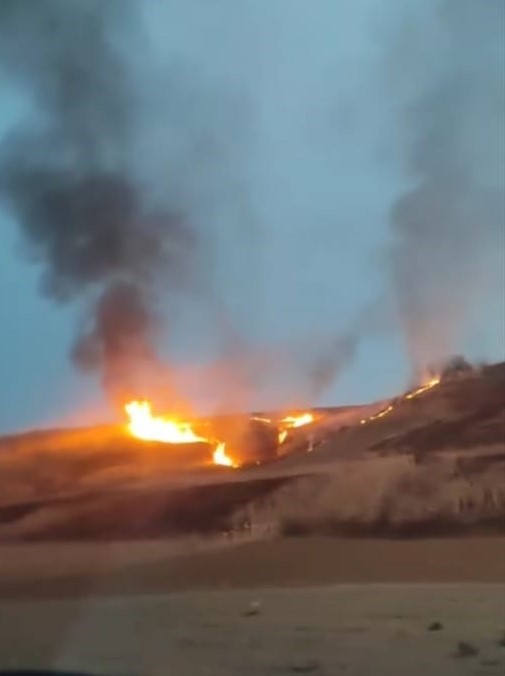 Batman’da sazlık  alanda yangın