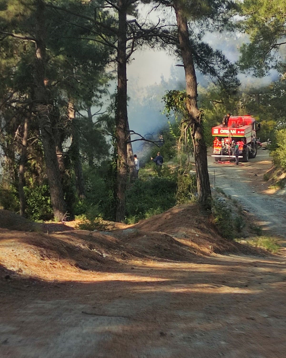 Hatay’da ormanlık alanda örtü yangını çıktı