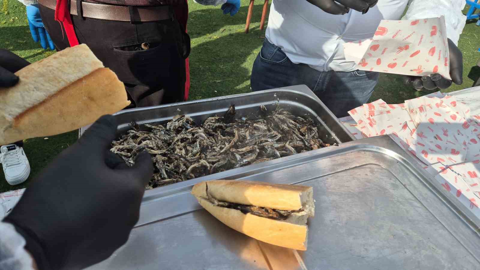 Tekirdağ’da 5 ton hamsi için 2 kilometrelik kuyruk