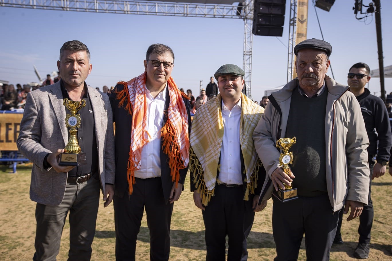 İzmir&rsquo;de 16. Torbalı Deve G&uuml;reşleri Festivali d&uuml;zenlendi
