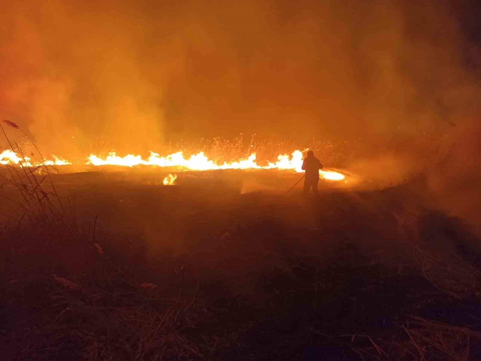 Malatya’da sazlık alanda yangın
