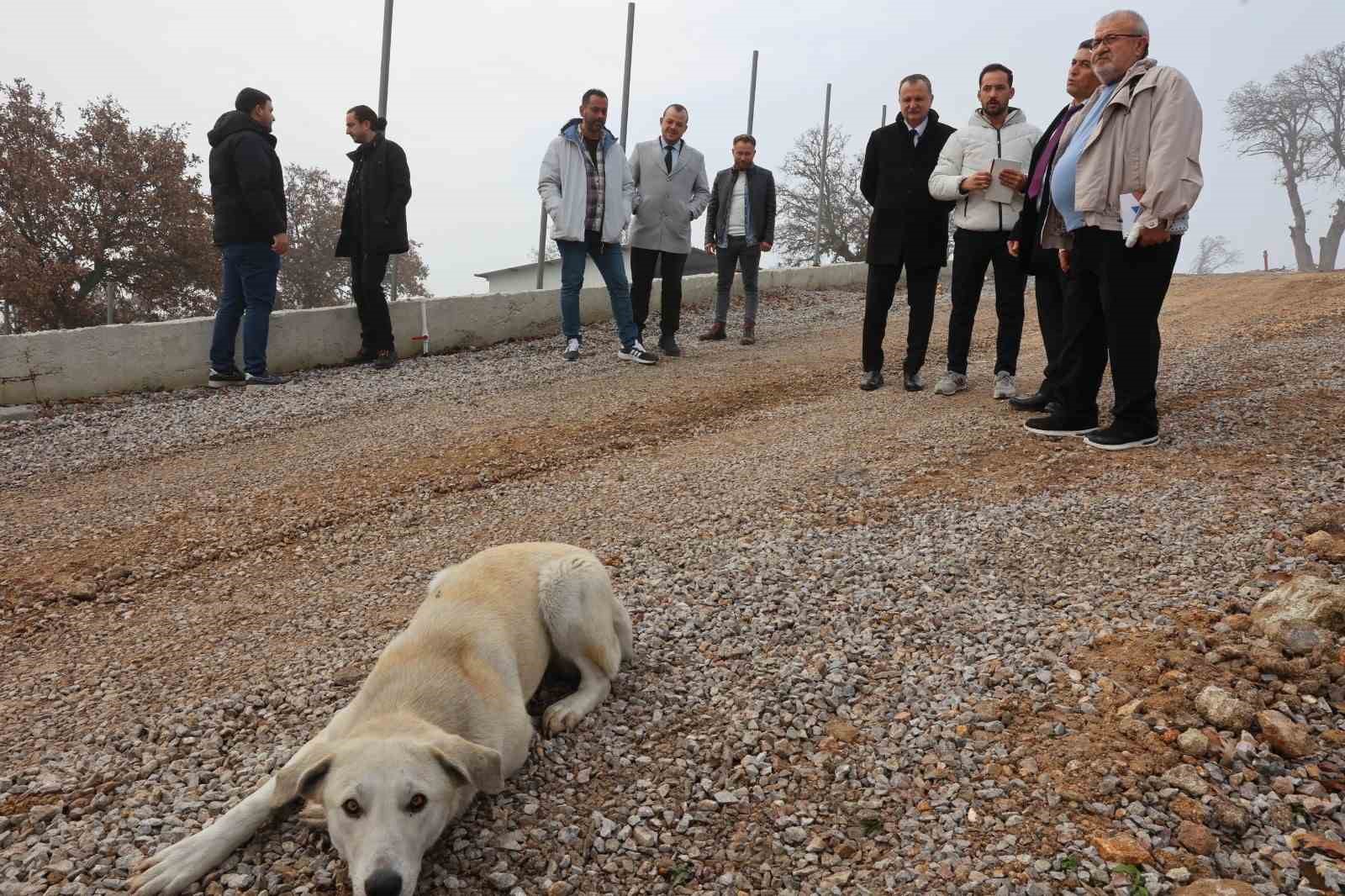 Hayvan Yaşam Merkezi mart ayının son haftasında açılacak