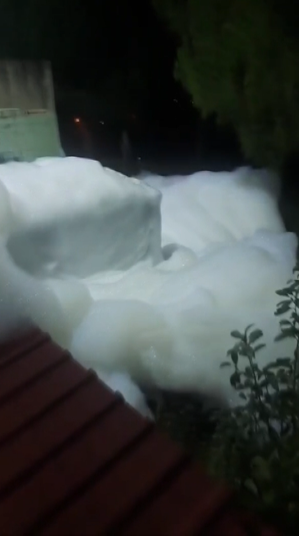 Yalova Valiliği: "K&ouml;p&uuml;k arttırıcı olarak kullanılan bir bileşik atıldığı tespit edilmiştir"
