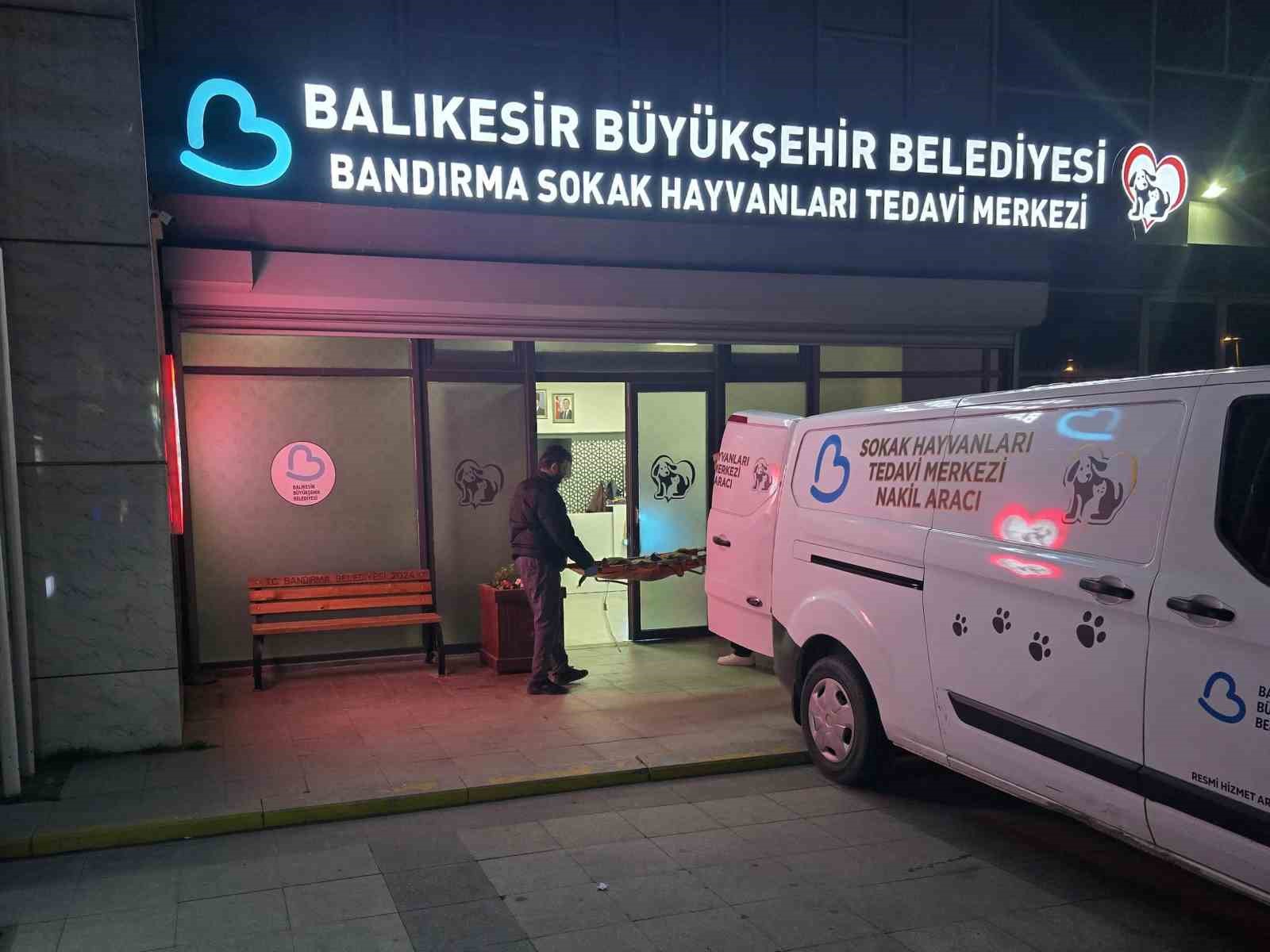 B&uuml;y&uuml;kşehir Belediyesi ekipleri, ateşli silahla vurulan k&ouml;peğini kurtarmak i&ccedil;in seferber oldu
