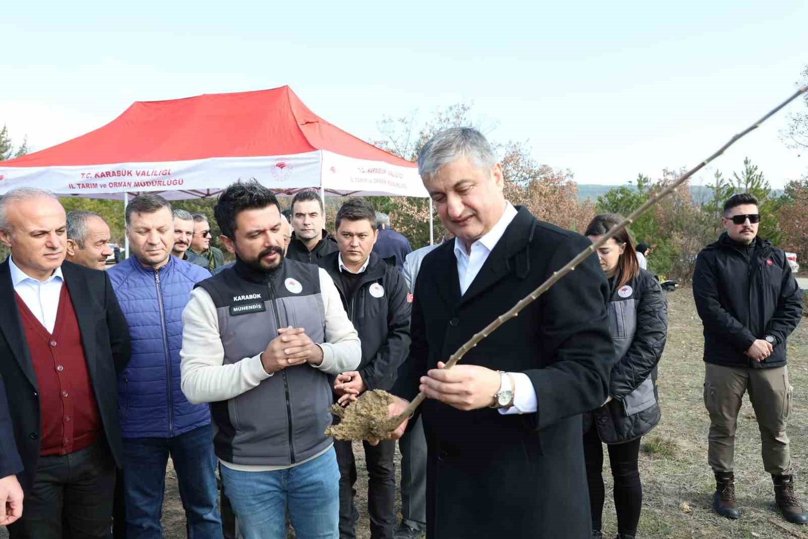 Karabük’te sumak fidanları toprakla buluşturuldu
