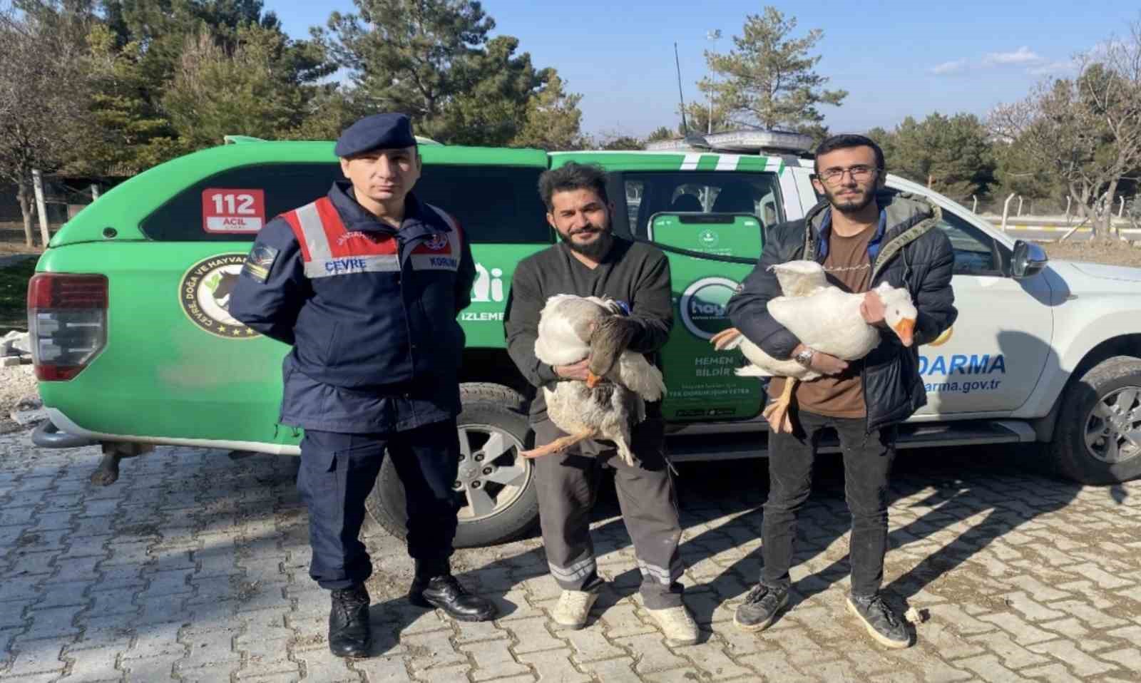 Kaz d&ouml;v&uuml;ş&uuml; yaptıran 7 şahsa su&ccedil;&uuml;st&uuml; baskın: 72 bin lira ceza uygulandı

