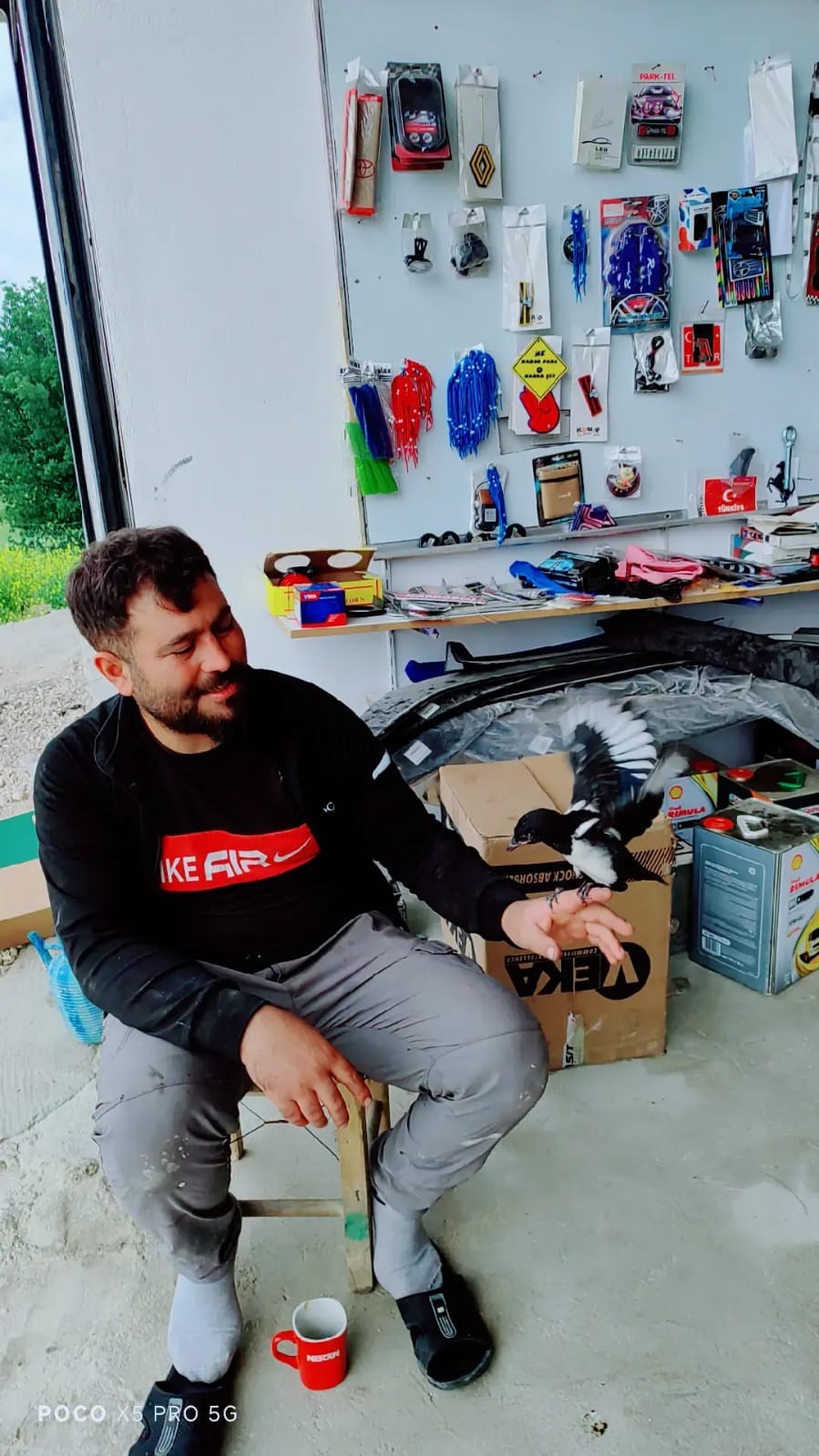 Diyarbakır’da 6 ay beslenen Reşo isimli karga doğaya bırakıldı