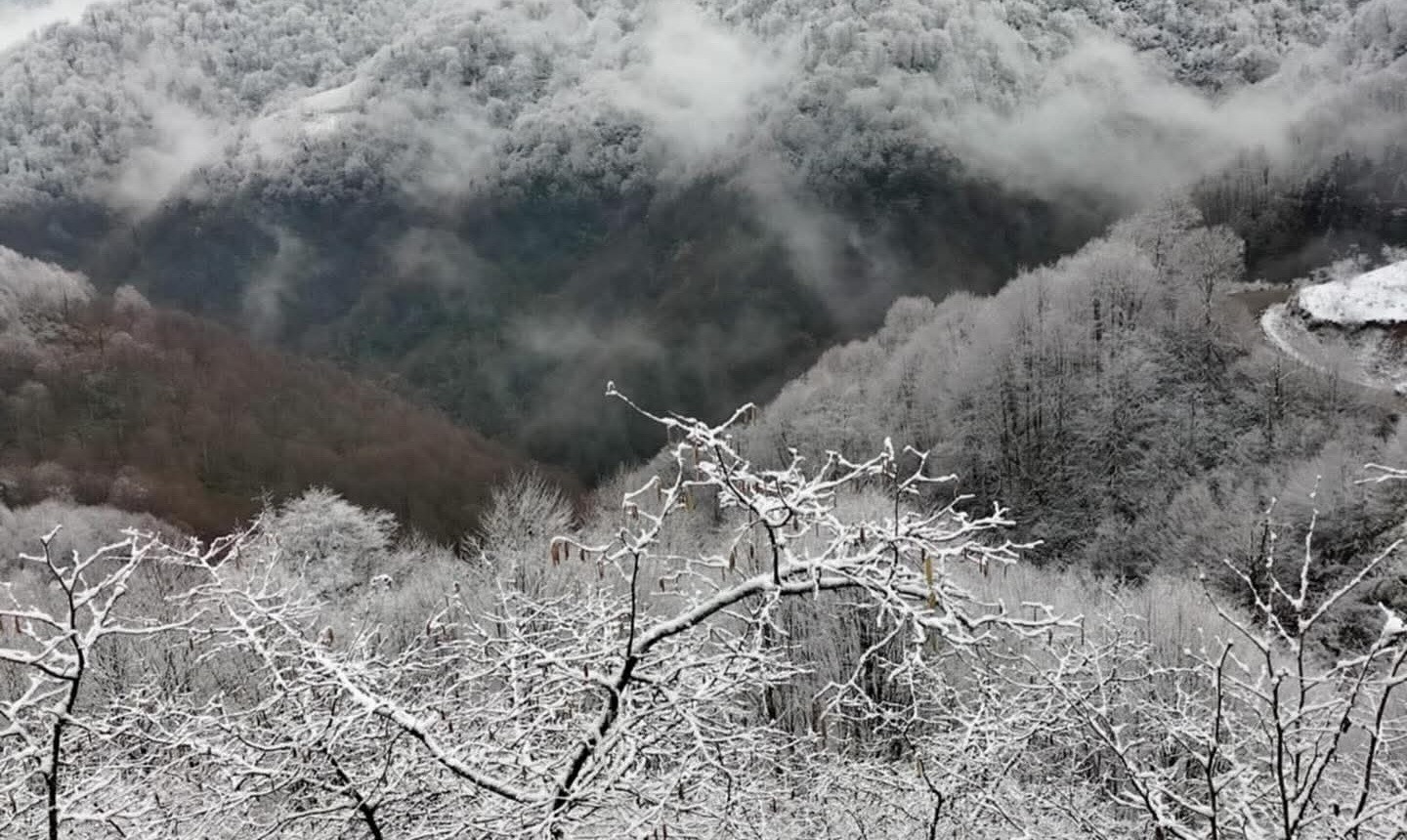 Alaplı’nın Gümeli köyüne mevsimin ilk karı düştü