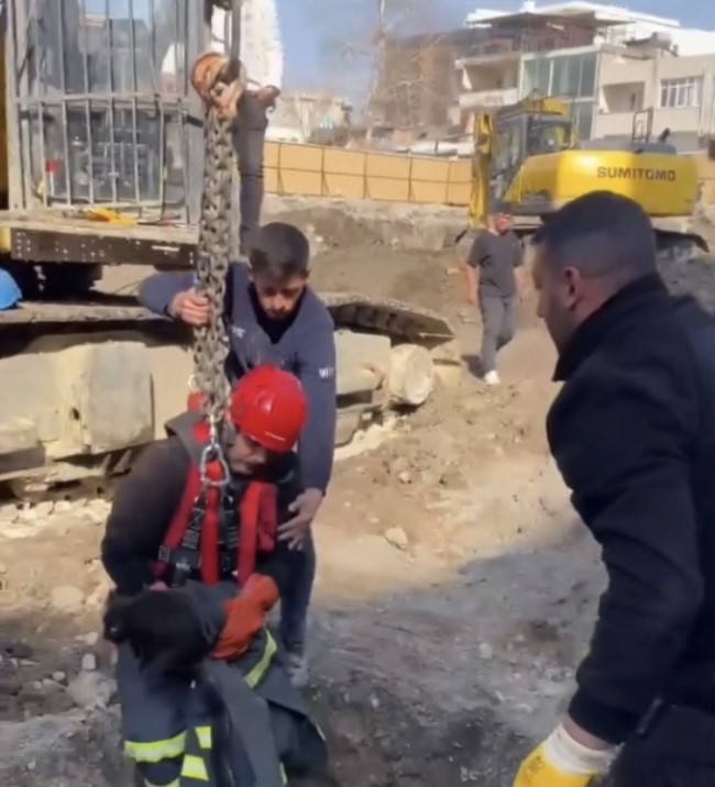 Fore kazık kuyusuna düşen kedi itfaiye ekipleri tarafından kurtarıldı