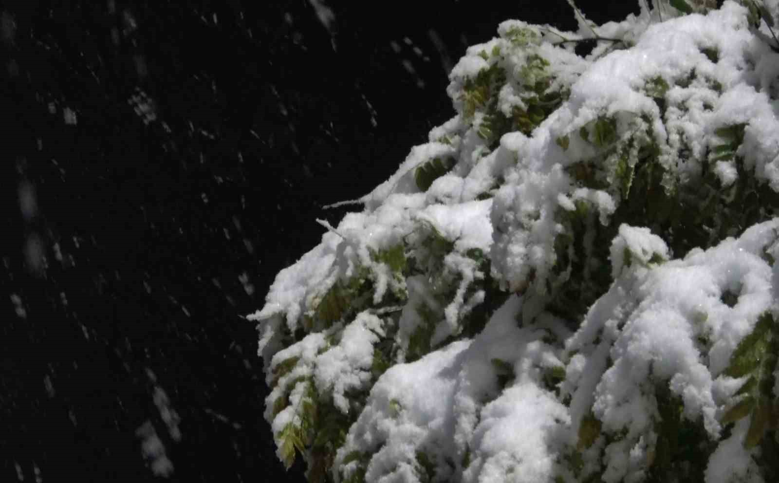 Aksaray&rsquo;da kar yağışı etkili oluyor
