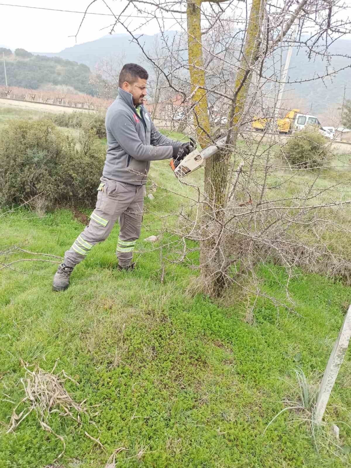 Denizli Büyükşehir, Buldan Şehir Kabristanlığına el attı
