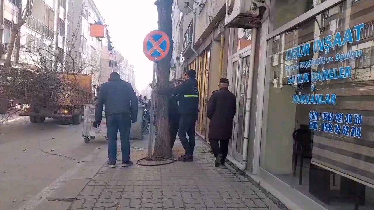 Edirne&rsquo;de tehlikeli ağa&ccedil; budama kesimi
