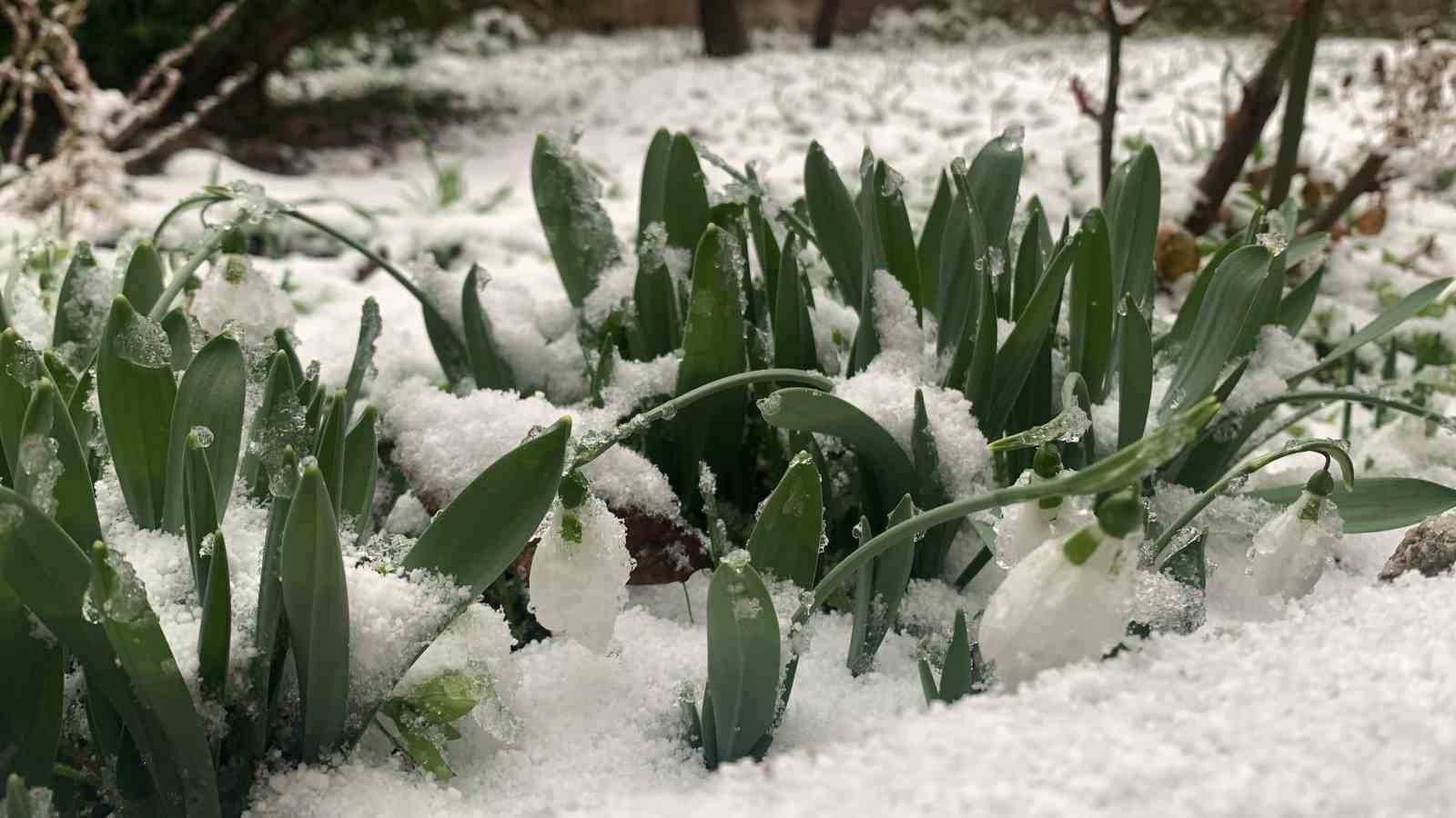 Karaman, beyaza büründü