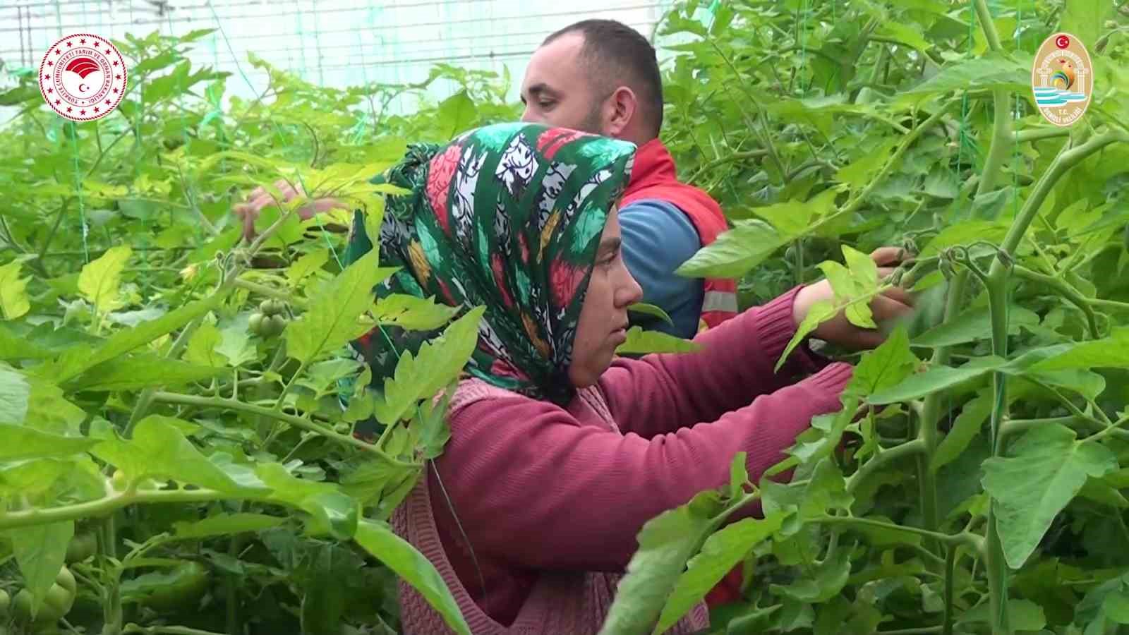 Denizlili çiftçiye 1 milyar 241 milyonluk can suyu