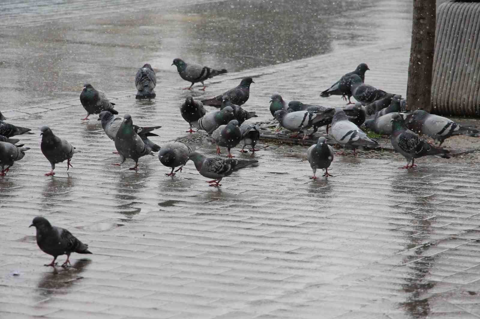 Bolu’da kar yağışı aralıklarla etkili oluyor
