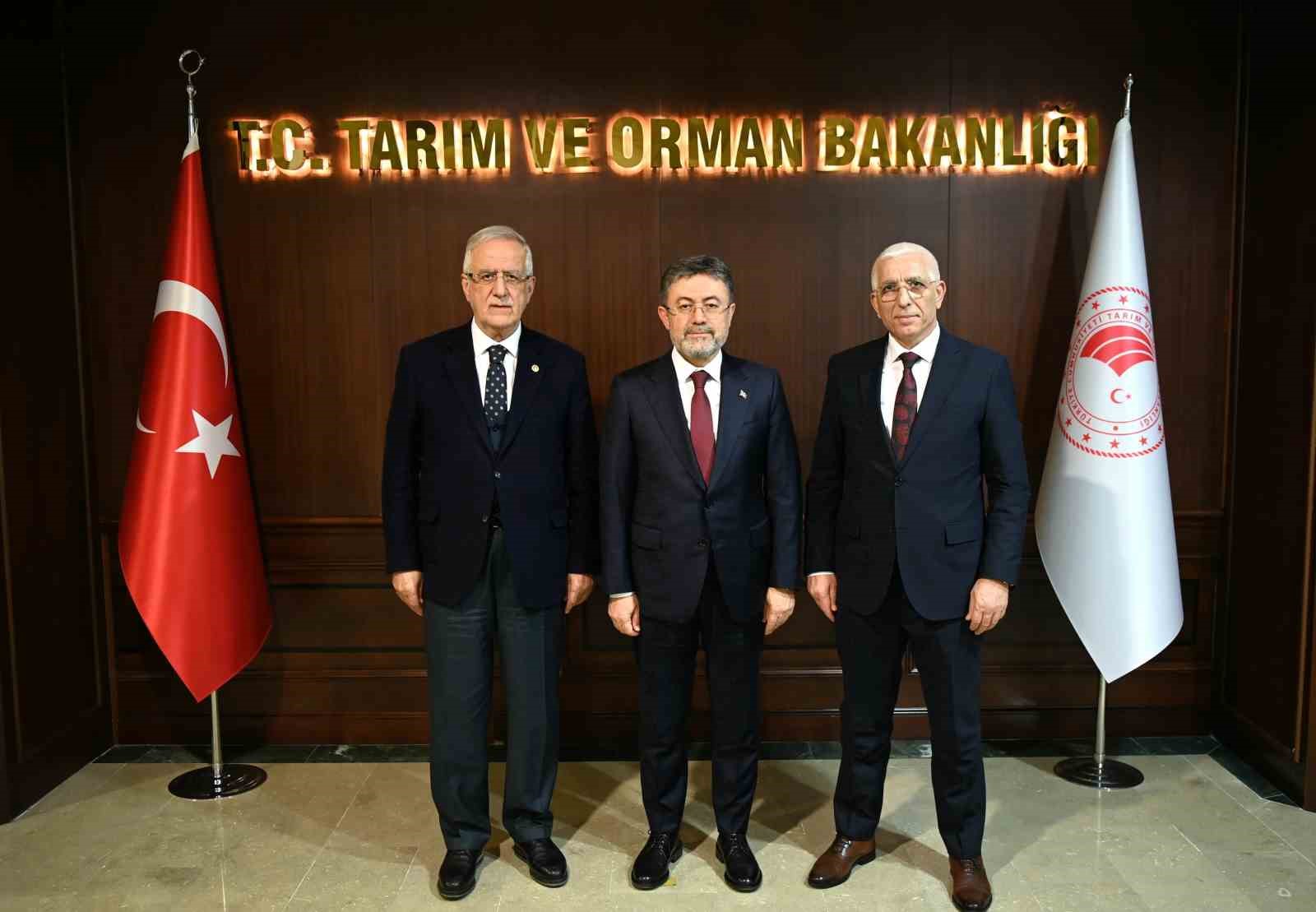 Marmarabirlik Yönetim Kurulu Başkanı Hidamet Asa:"Dane zeytine prim desteği kaldırılmamalı"