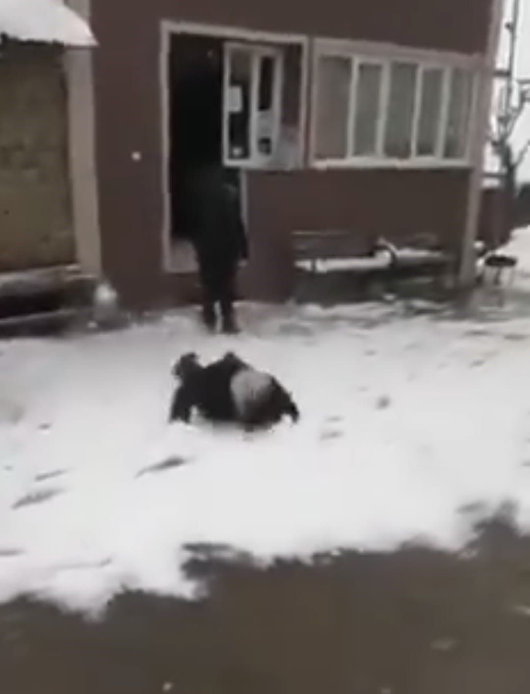 70 yaşındaki Celal Amca, kara olan hasretini oyun havası ile dindirdi
