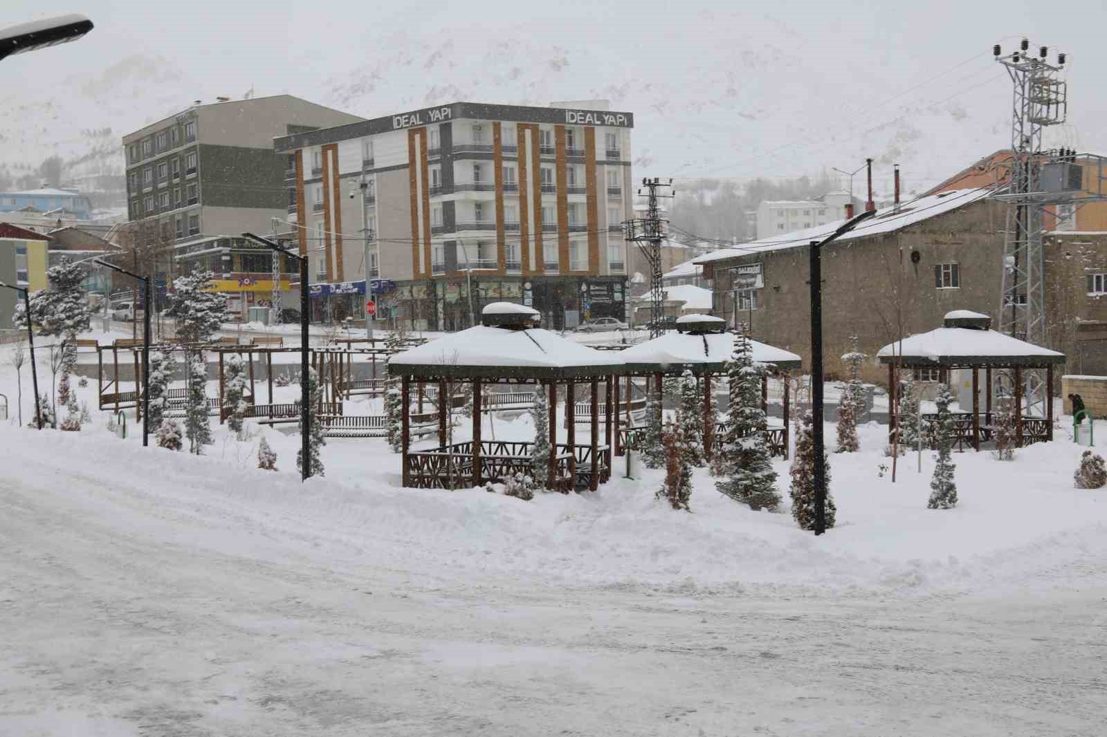Başkale&rsquo;de yoğun kar yağışı: 46 yerleşim yerinin yolu ulaşıma kapandı
