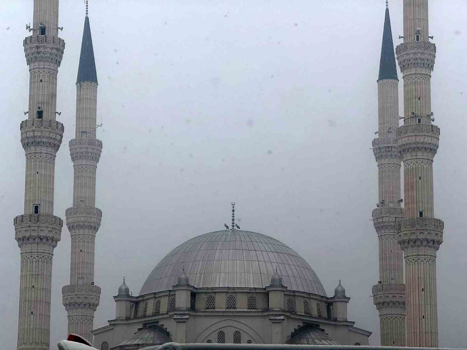 Iğdır&rsquo;da g&ouml;&ccedil; etmeyen leylekler kar altında kaldı
