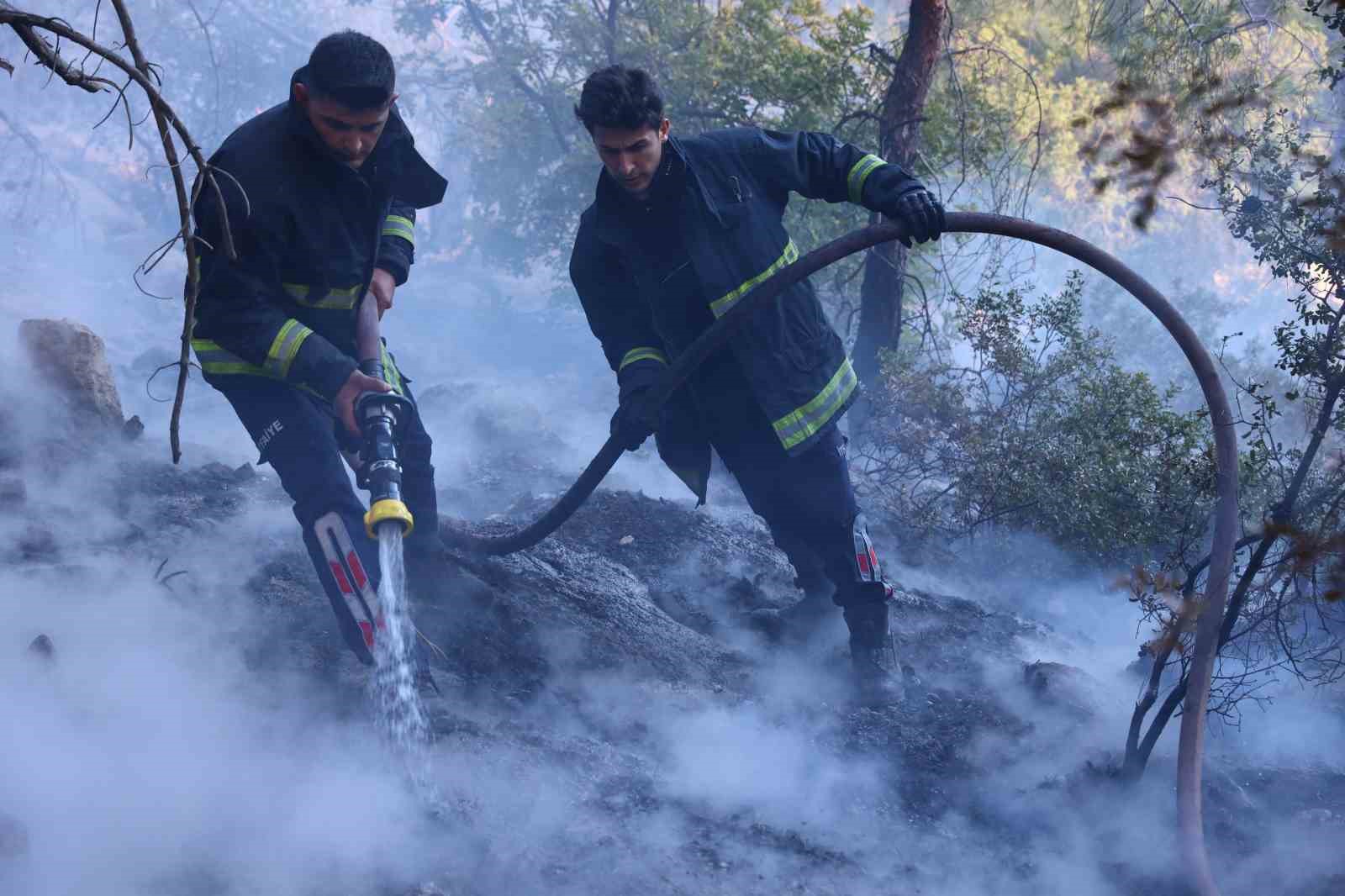 Büyükşehir itfaiyesinden orman yangınına müdahale desteği
