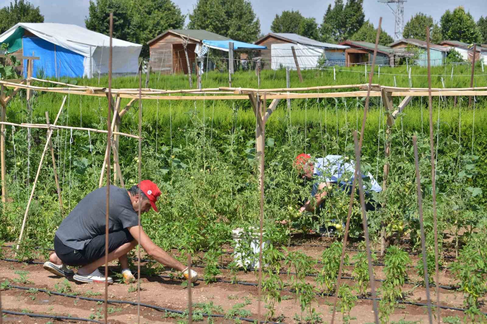 Meram Hobi Bah&ccedil;eleri&rsquo;nde hak sahipleri belli oldu
