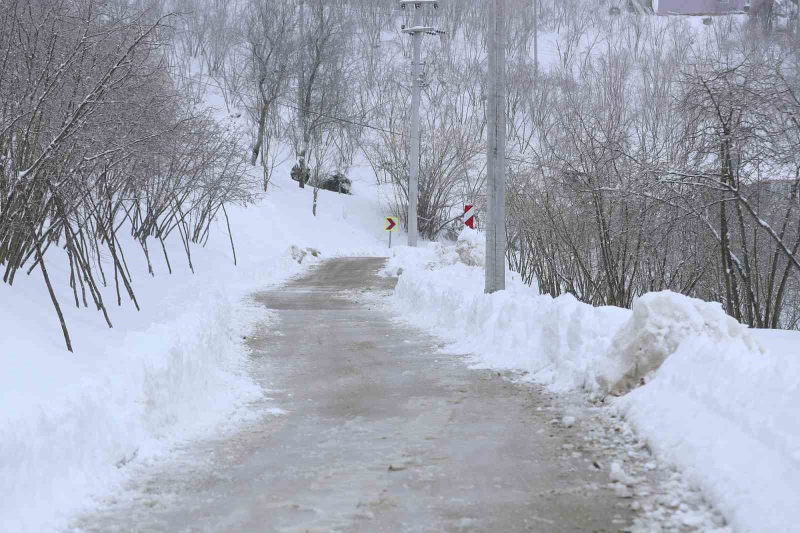 Sakarya’da kardan dolayı kapalı grup yolu kalmadı
