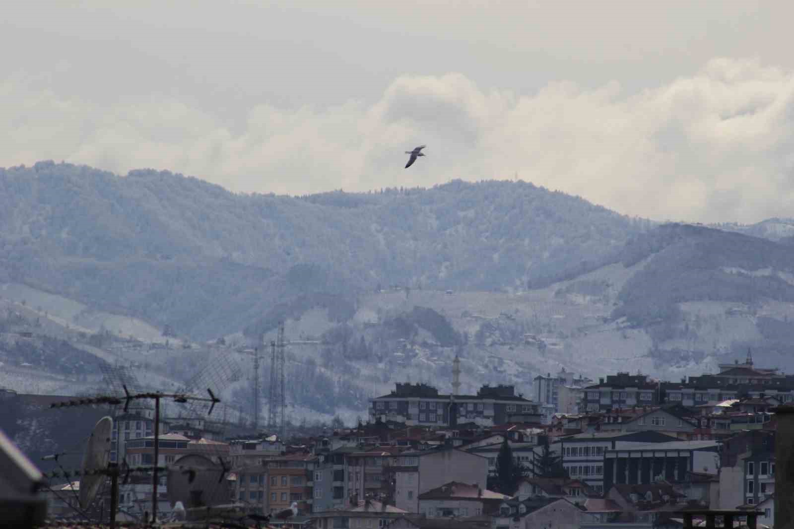 Ordu’dan şehir ve kar manzarası
