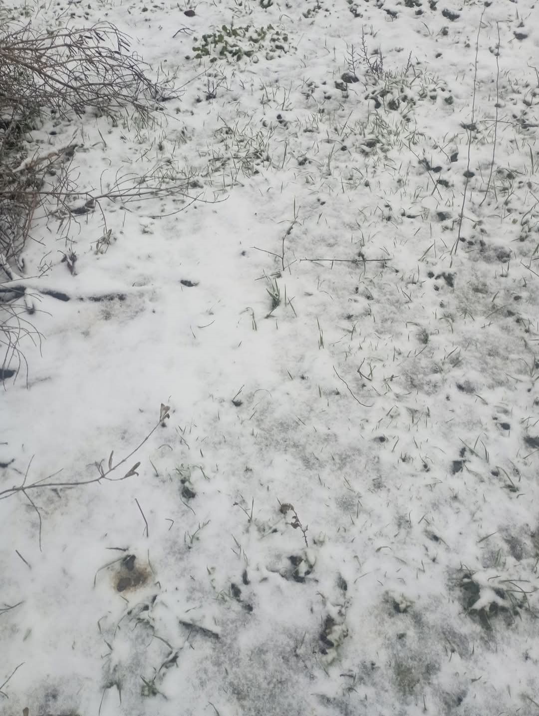 Bandırma&rsquo;nın y&uuml;ksek kesimleri beyaza b&uuml;r&uuml;nd&uuml;
