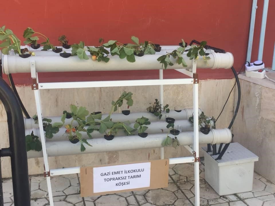 Emet’te eğitim ve tarımı bir arada yürüten okulda bilgilendirme çalışması