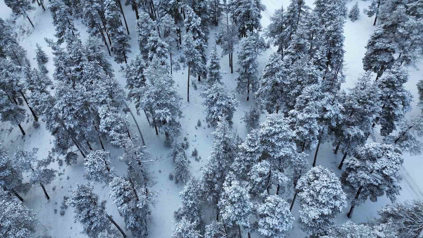 Sarıkamış Kayak Merkezi&rsquo;nde kar kalınlığı 90 santimetreye ulaştı
