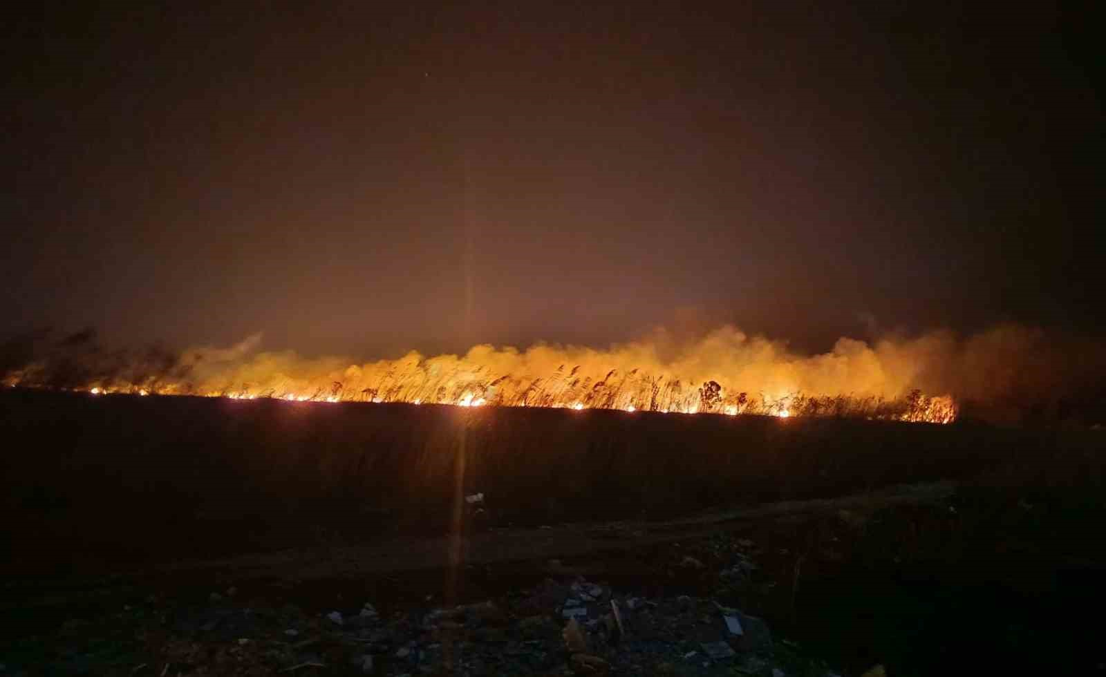 Göksu Deltası’nda yangın