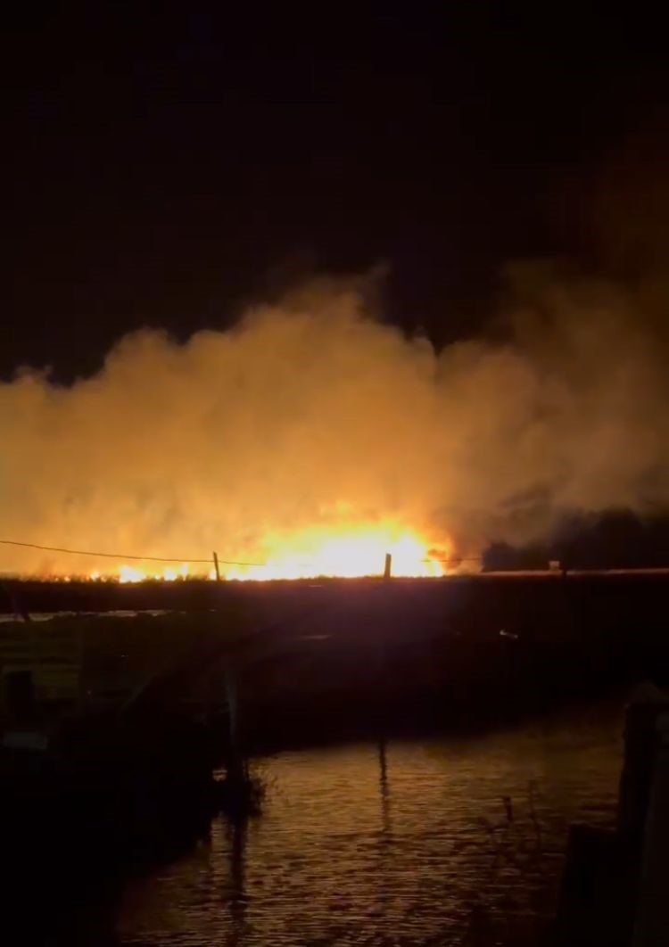 G&ouml;ksu Deltası&rsquo;nda yangın
