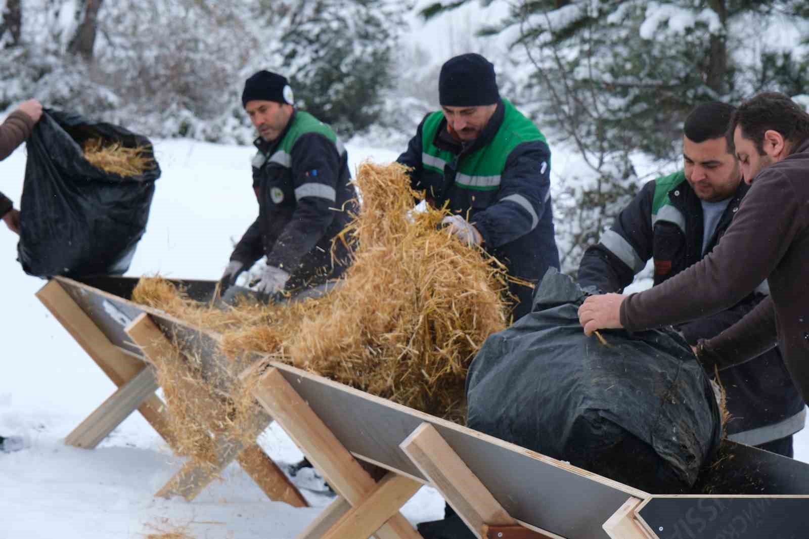 Bolu Belediyesi ekipleri yılkı atlarını unutmadı
