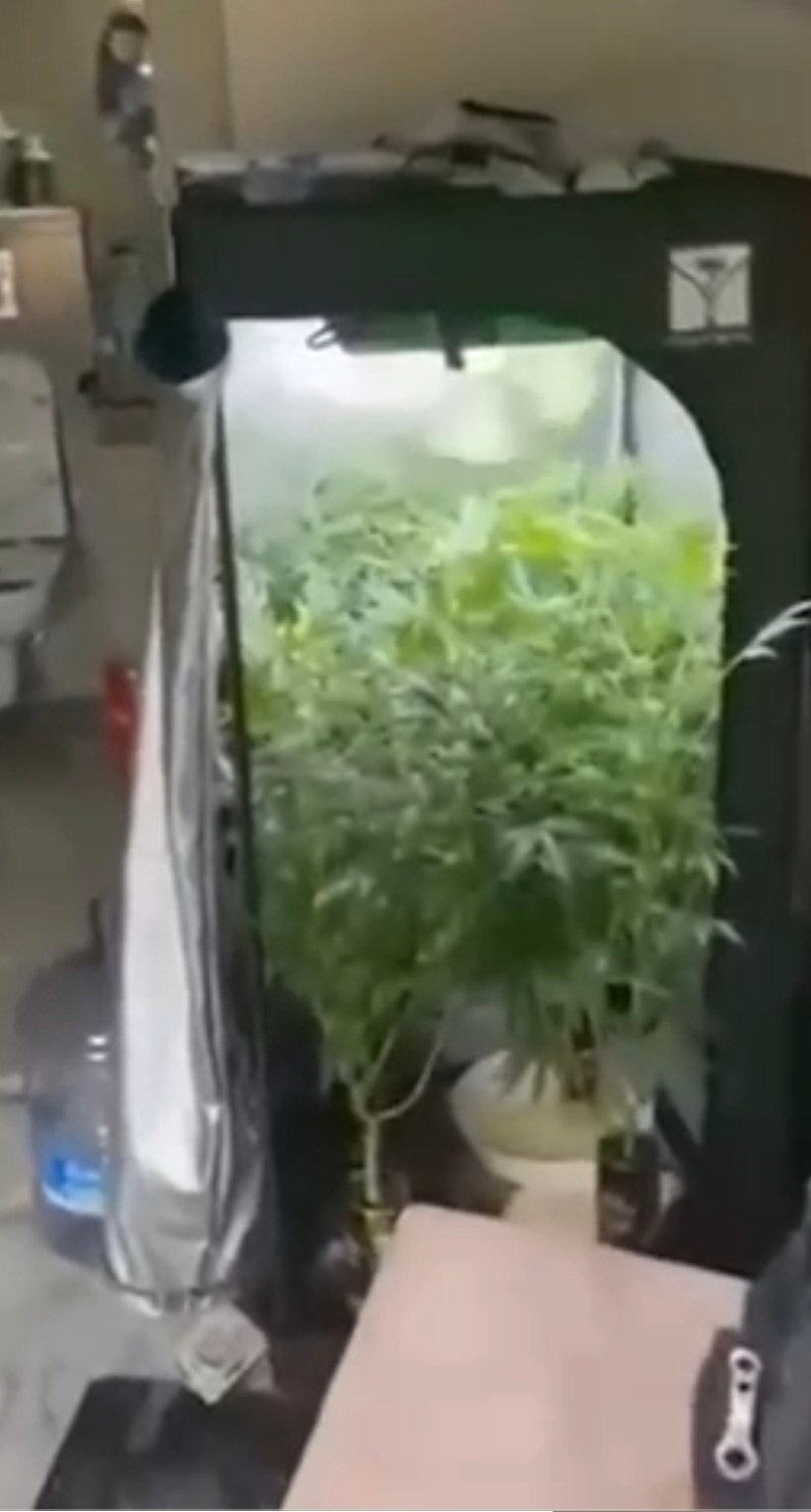 Uyuşturucu imal etmek için evine sistem kurmuş