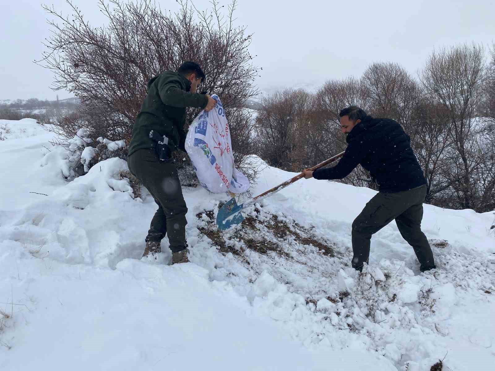 Malatya’da yaban hayvanları için yemleme çalışması