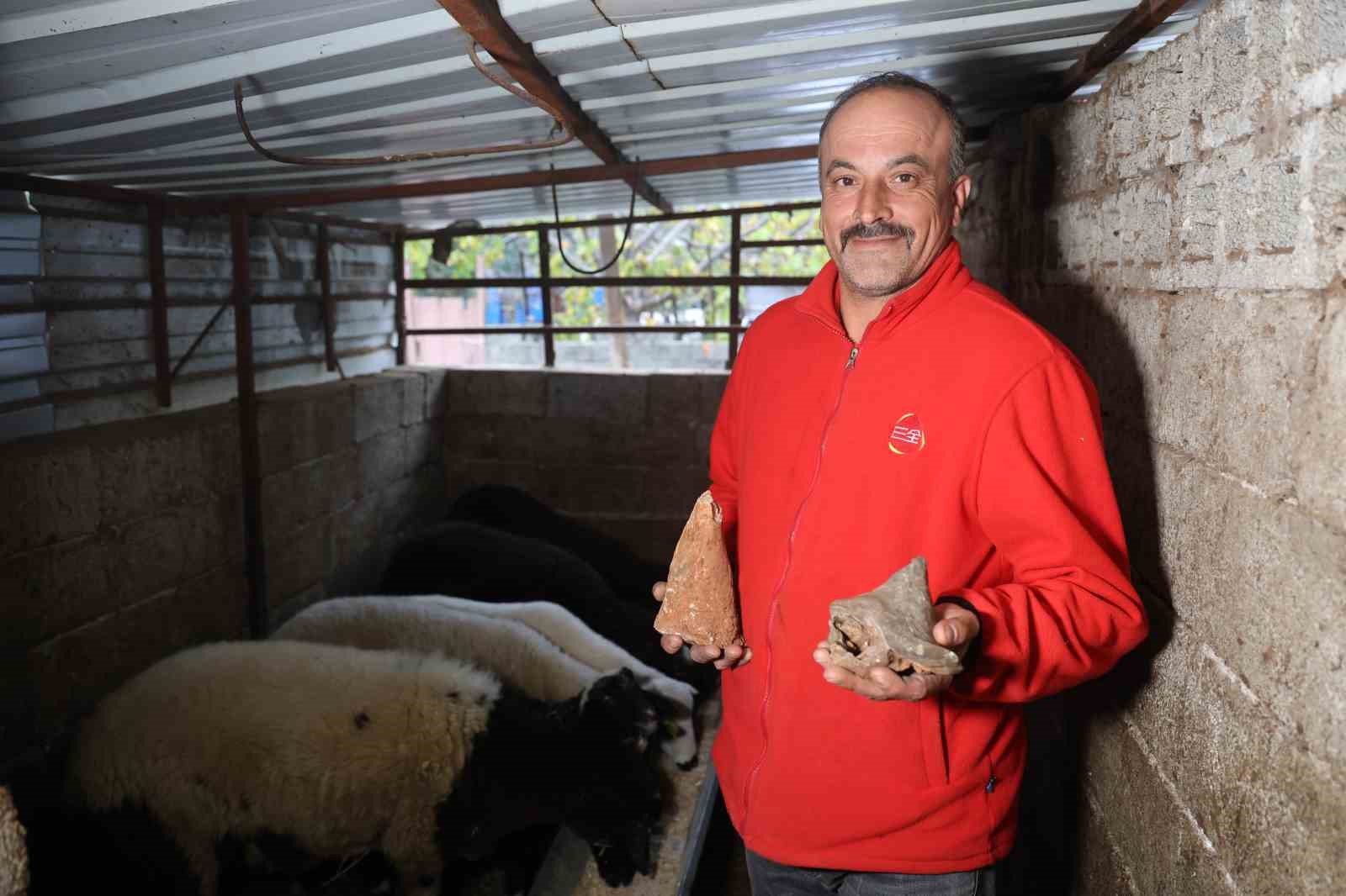 Dağları karış karış gezen çoban, 8 yıldır hoşuna giden her taşı evine getiriyor
