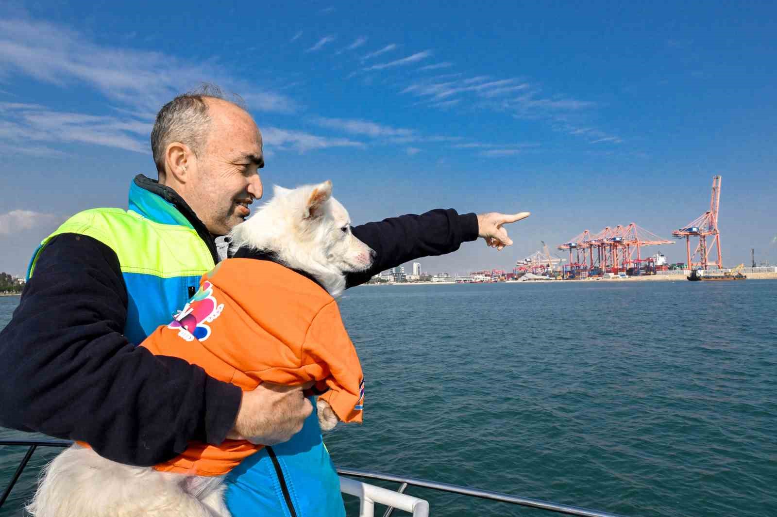 ’Köpük’, belediye personeliyle birlikte deniz kirliliğine karşı mücadele ediyor