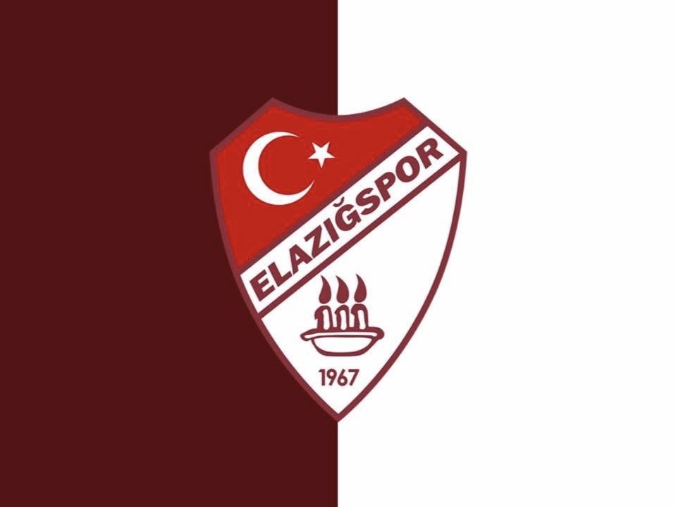 Elazığspor: &quot;Elazığ ve Van şehirlerinin kardeşliği sonsuza kadar sürecektir&quot;