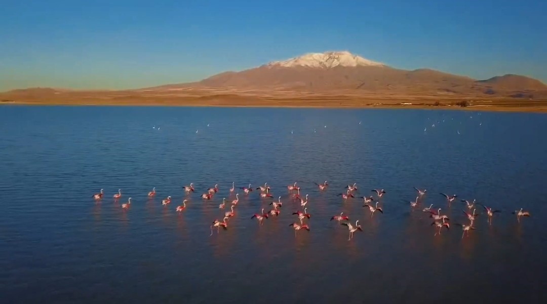 Adilcevaz&rsquo;ın doğal g&uuml;zellikleri havadan g&ouml;r&uuml;nt&uuml;lendi
