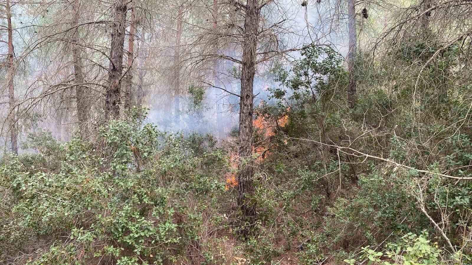 Osmaniye’de çıkan orman yangını kontrol altına alındı
