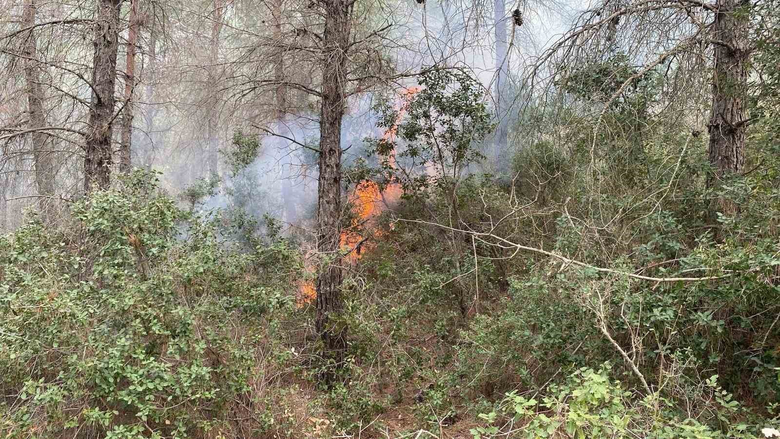 Osmaniye’de çıkan orman yangını kontrol altına alındı