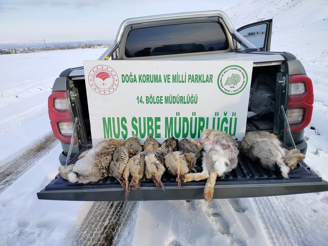 Muş’ta kaçak avcılara ağır ceza