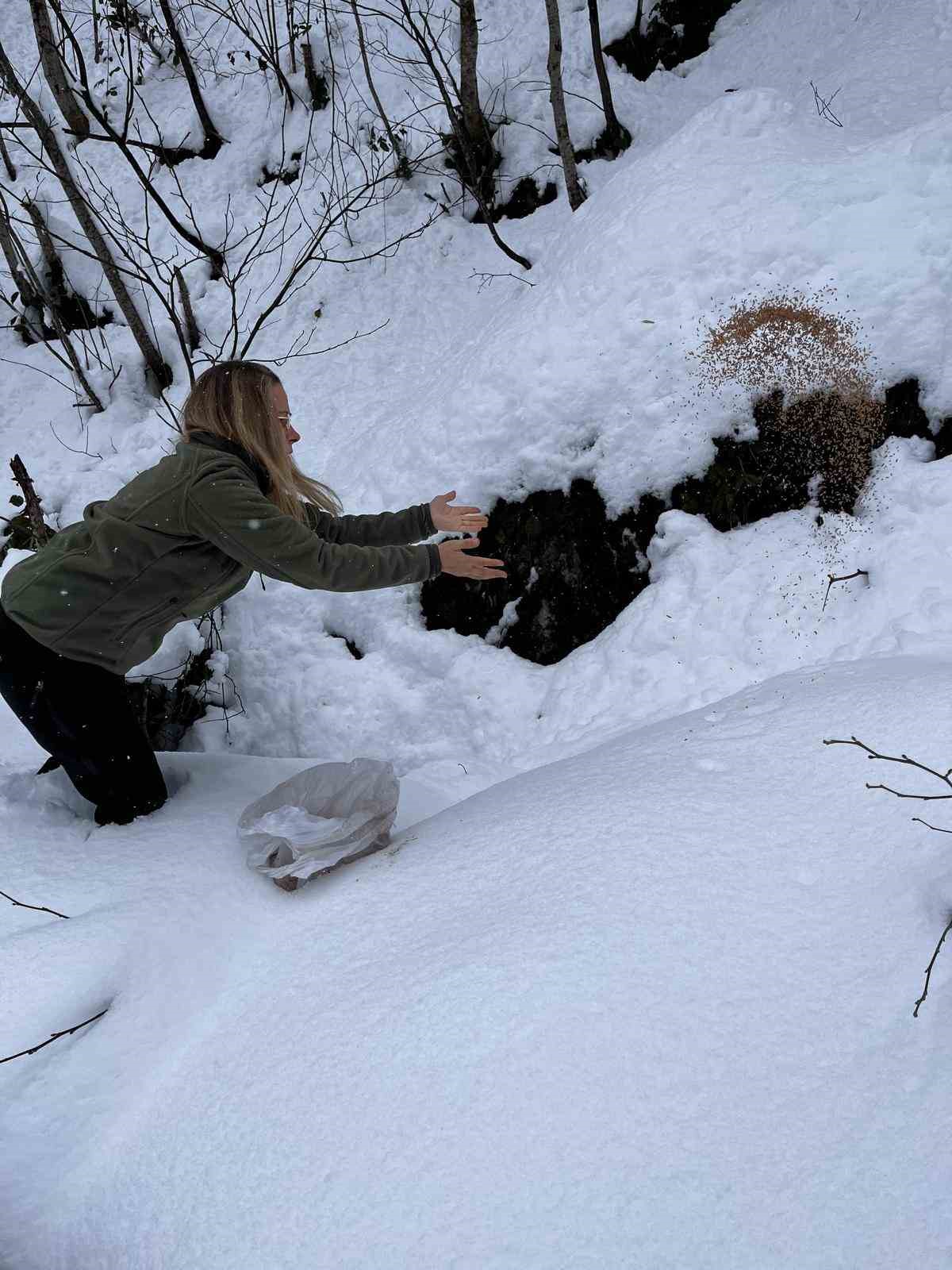 Giresun’da yaban hayvanları için doğaya yem bırakıldı
