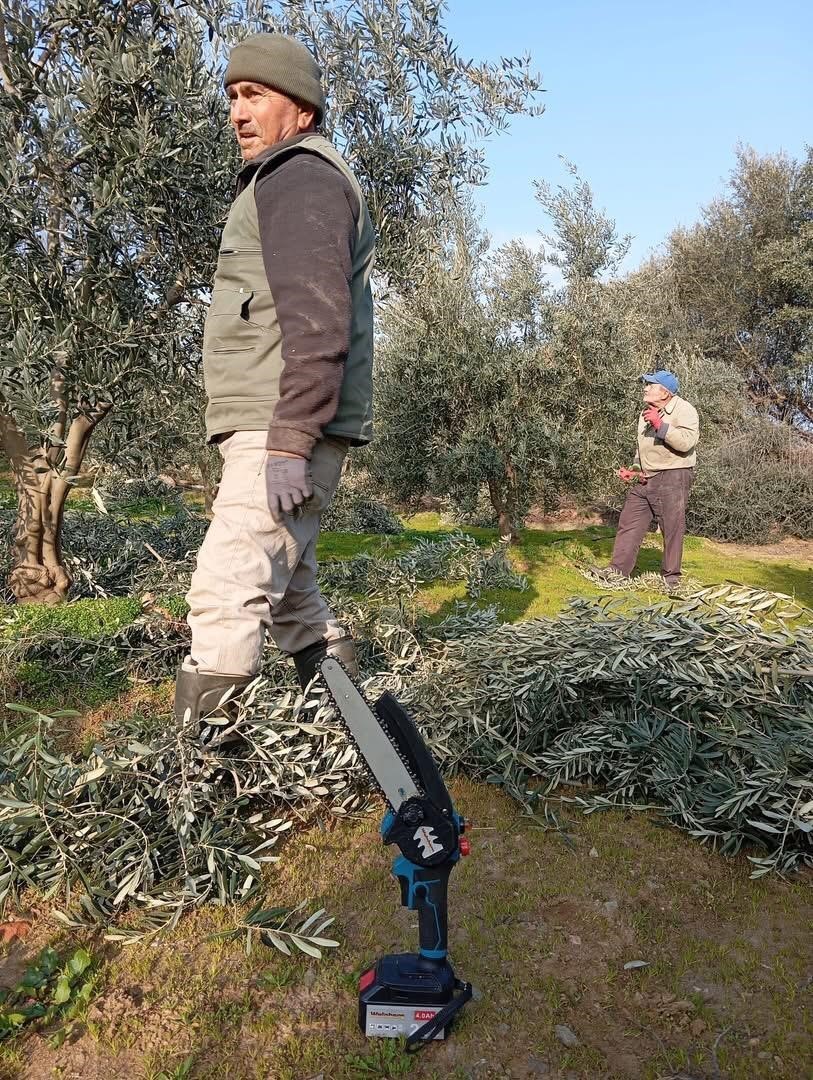 Sarıgöl’de zeytin budama çalışmalarına başkandı
