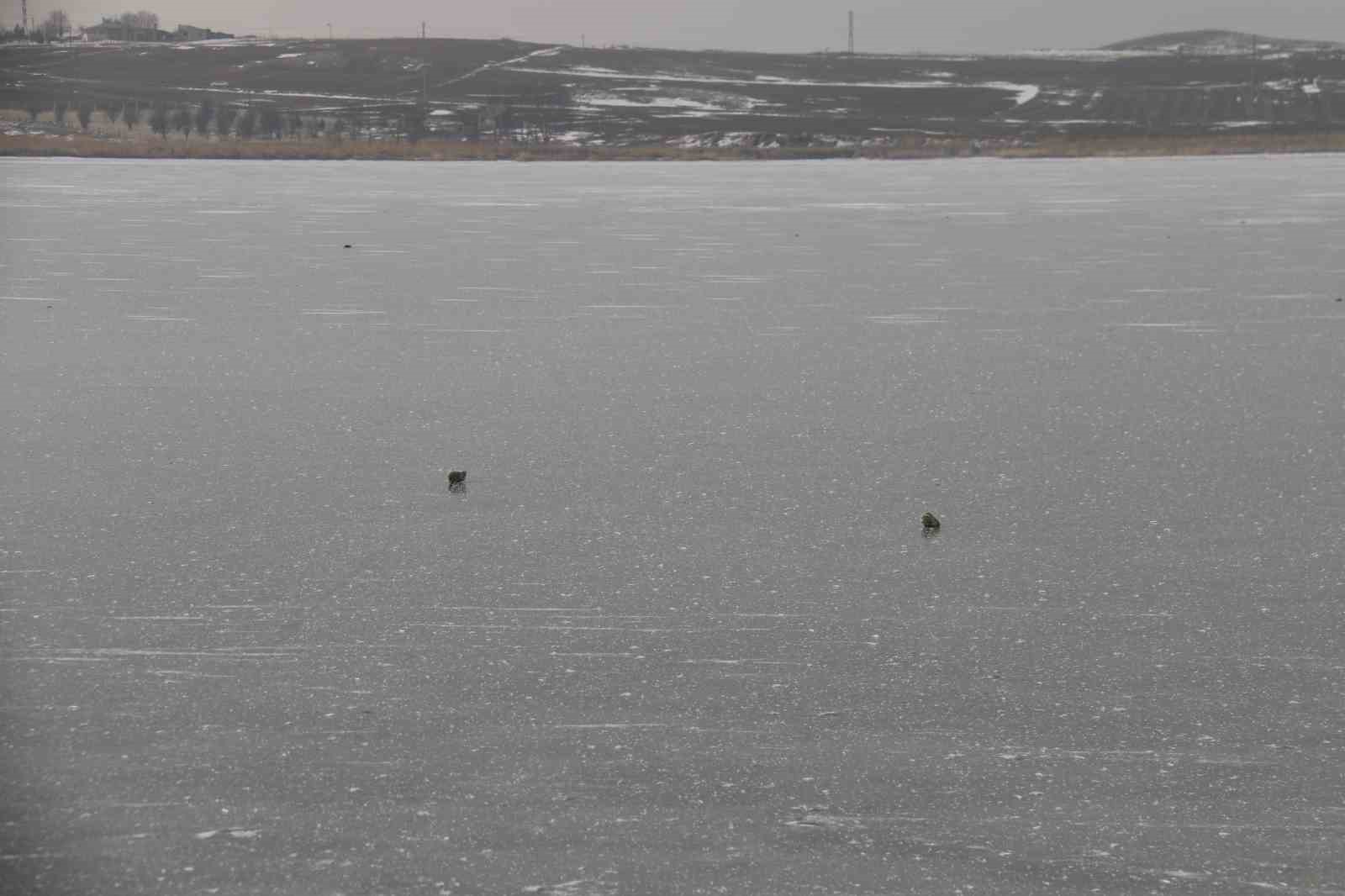 Sibirya soğuklarının etkili olduğu kentte, koruma altındaki göl dondu