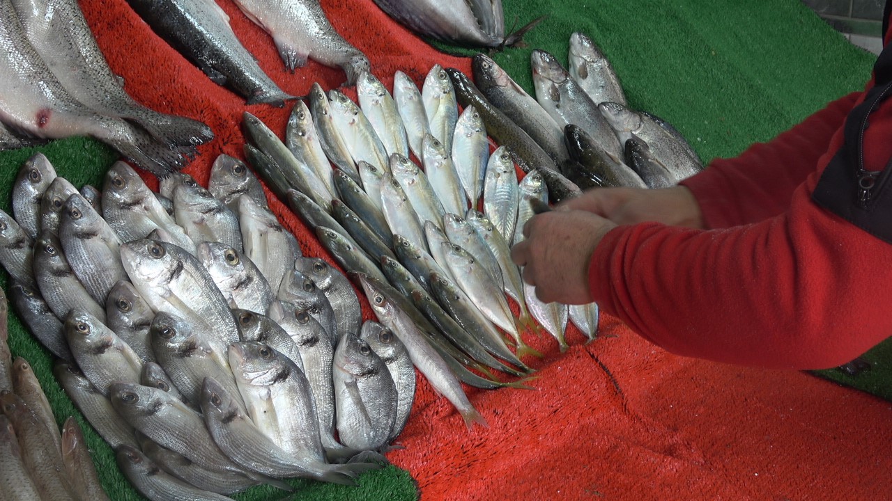 Kilis&rsquo;in tek kadın balık&ccedil;ısı aile mesleğini s&uuml;rd&uuml;r&uuml;yor
